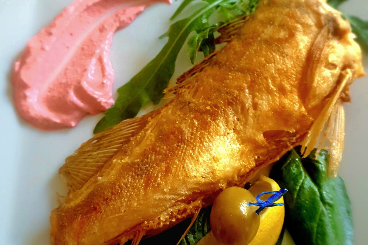 368299436_749383040325746_2148164748684433354_n