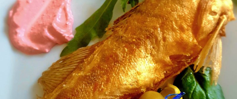 368299436_749383040325746_2148164748684433354_n